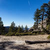 On the way down on Sentinel Dome Trail