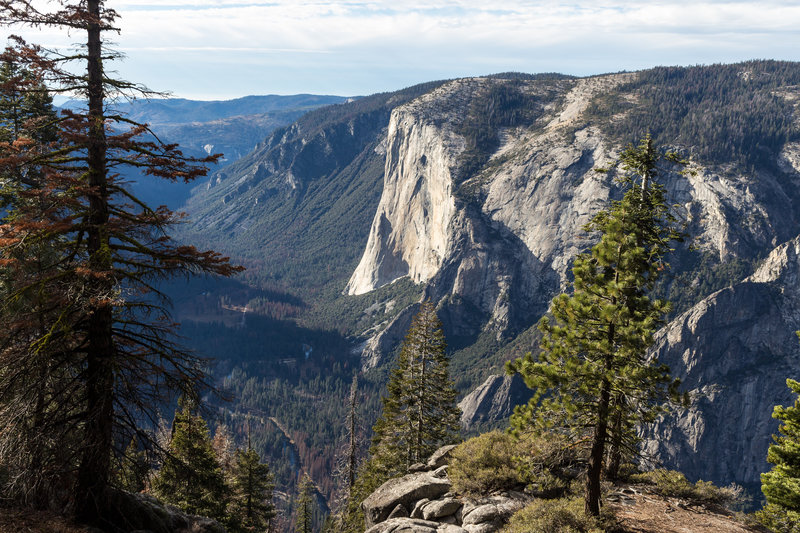 El Capitan from Roosevelt Point Trail