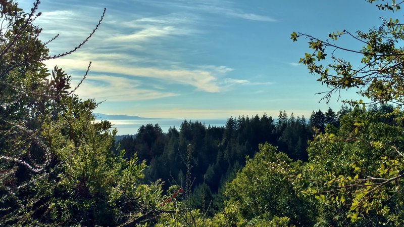 The Pacific Ocean in the distance, can be seen through breaks in the trees, looking past a redwood forested ridge.