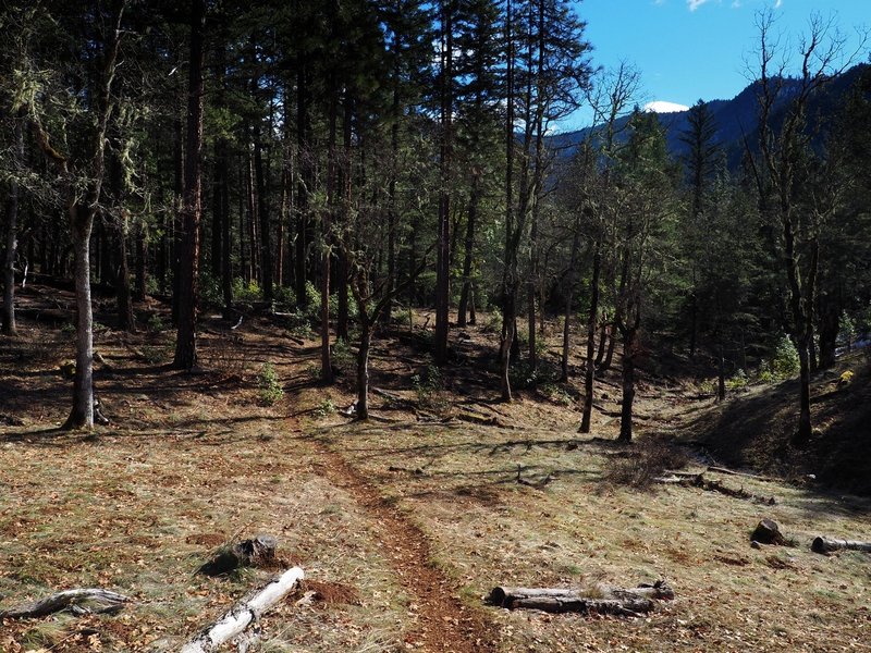 Descending the Osprey Trail