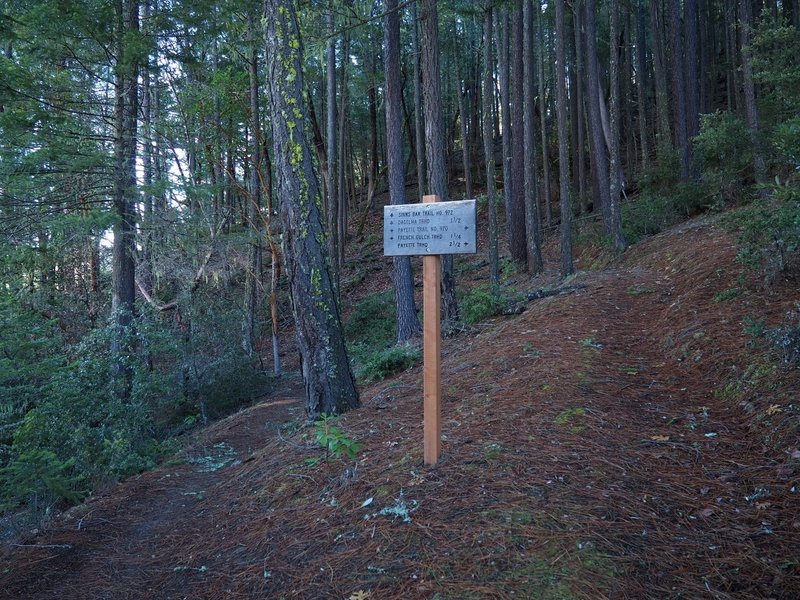 The Payette / Sinns Barr trail junction