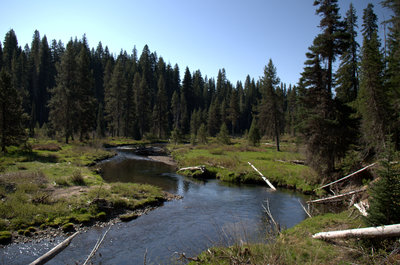Meadows and meanders along Muir Creek