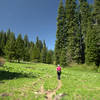 Entering Hummingbird Meadow