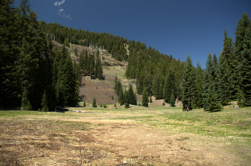 At the head of Buck Canyon.