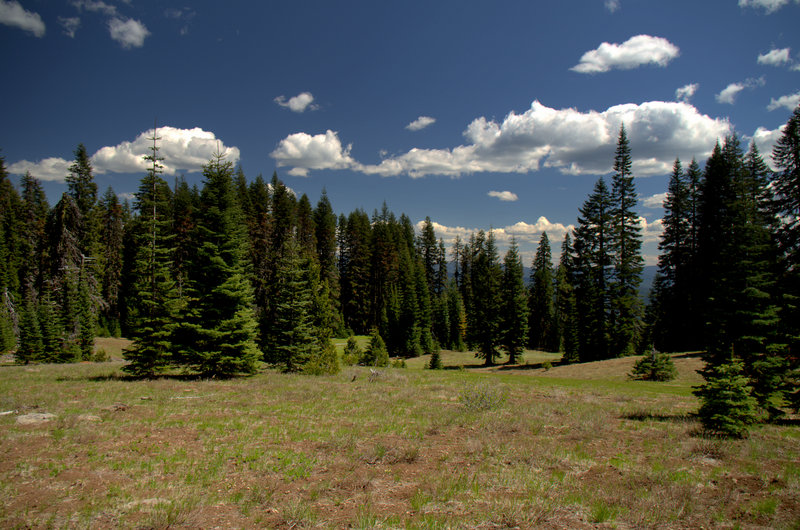 Alkali Meadows