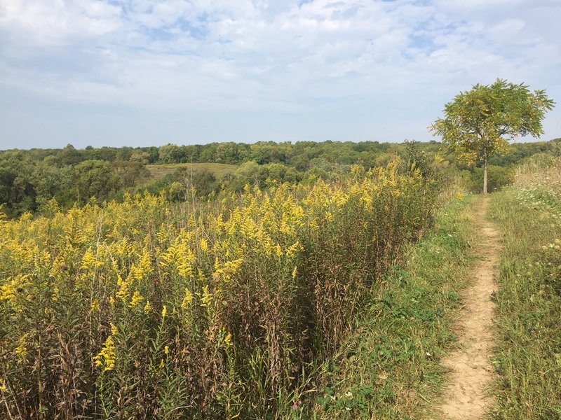 View from the top of the Northeast Prairie, the northwest prairie is visible in the distance.