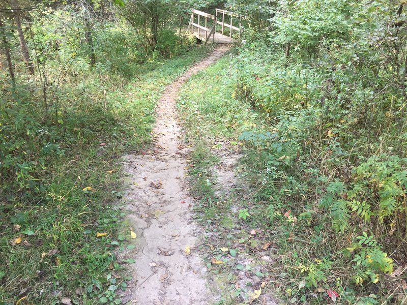 Footbridge where the trail connects to the north south bisector and Melissa Falls trails.