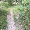 Footbridge where the trail connects to the north south bisector and Melissa Falls trails.