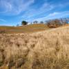 Scene from Joseph D Grant County Park