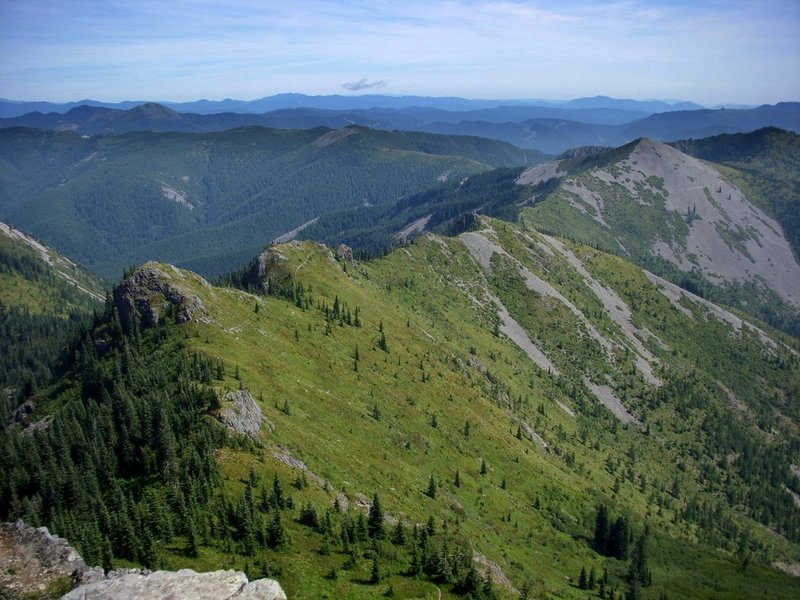 The Bluff Mountain Trail follows this ridge