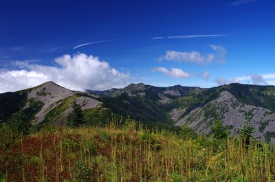 Little Baldy (left) and Silver Star from Howie