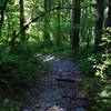 The old "road" up the steep ridge