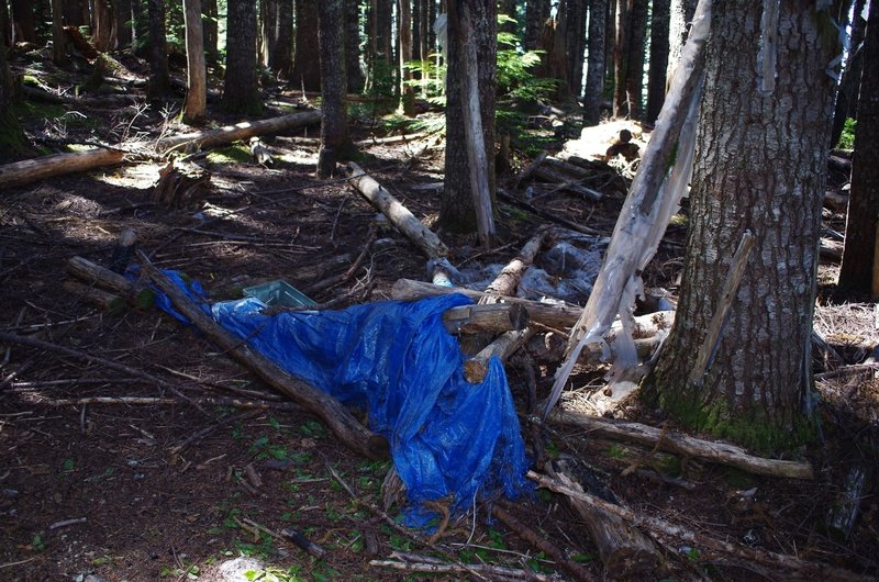 Remnants of the old shelter along the Starway Trail