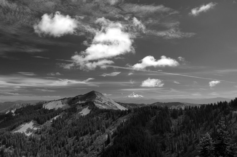 Little Baldy (foreground) and Mount Hood (horizon) from Silver Star Mountain