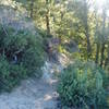 Entering San Gabriel Wilderness at Smith Mountain Saddle