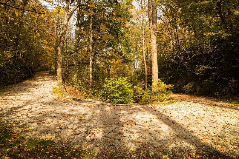 One of several gently graded switchbacking curves just outside the heart of Charleston