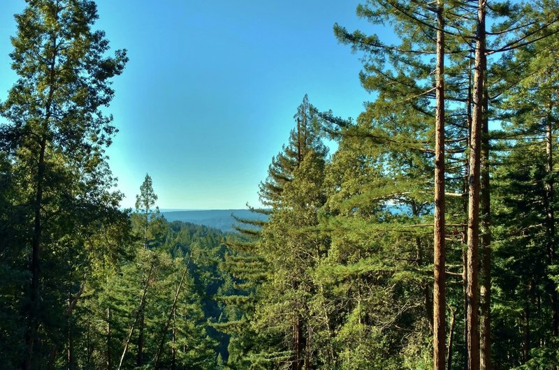 The Santa Cruz Mountains and Pacific Ocean in the distance are