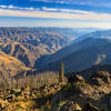 Hells Canyon and the Snake River 6000 feet below Dry Diggins Lookout.