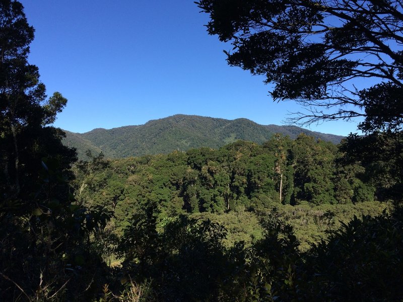 A view of the valley from the overlook at the halfway point.