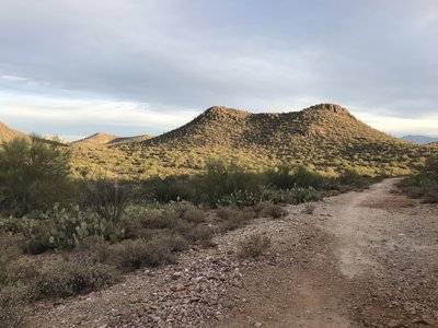 Typical trail