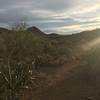 Sunset on the trail