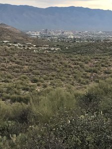 Nice views of Tucson
