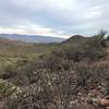 Views of Tucson to the east