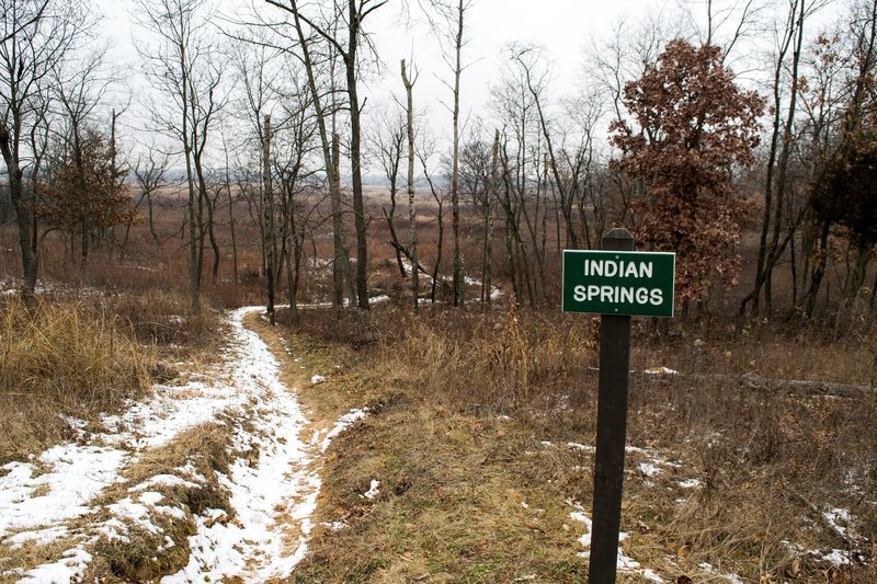 Indian Springs