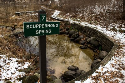 Scuppernong Spring