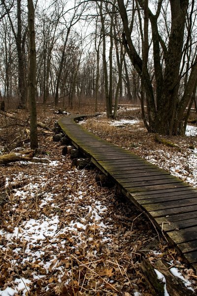 Boardwalk