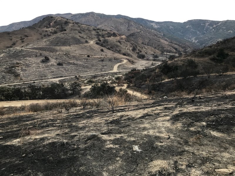 Lower Coal Canyon after October 2017 fire.