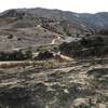 Lower Coal Canyon after October 2017 fire.