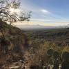 Great views over Tucson