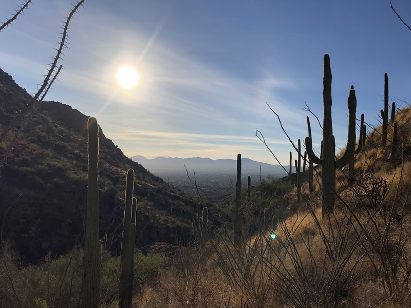 Sunset over Tucson