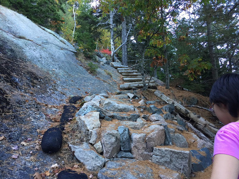 Climbing the stairs on Goat Trail.  This is the easier part of the climb, even a 9yr could do it.