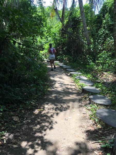 Palm Tree Trail arriving in Lopes Mendes