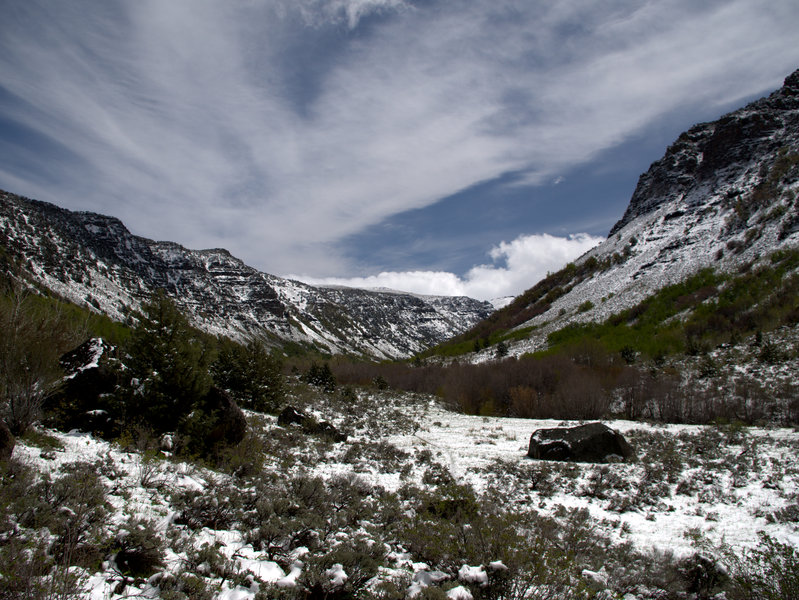 Looking up-canyon from the old corral