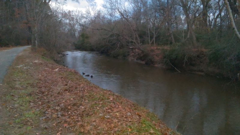 Great view of Crabtree Creek