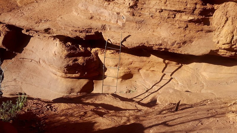 Ladder on the Trail