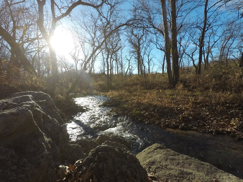 Photo of creek along nature trail.