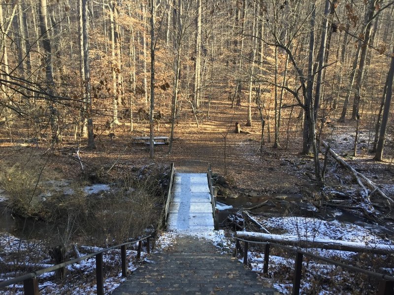 Bridge over Trout Brook