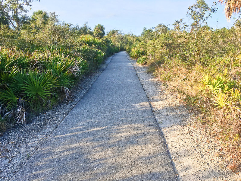 Upland paved trail near where the airfield was once located.