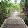 Several small bridges help crossing on Boy Scout Trail.