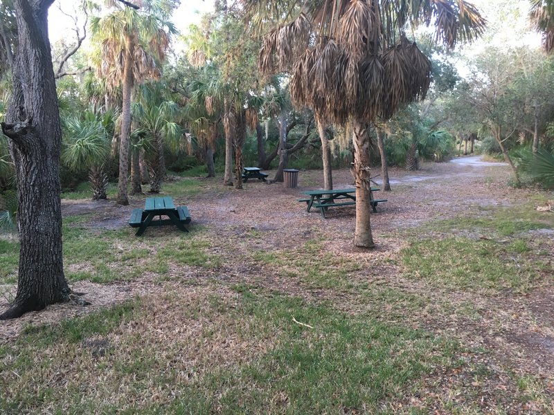 Picnic Area 2 is located where 3 trails meet: Lookout Point, Bay Boardwalk and Upland Trail.