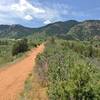 Looking toward the Rocky Mountain foothills from the Mesa Trail