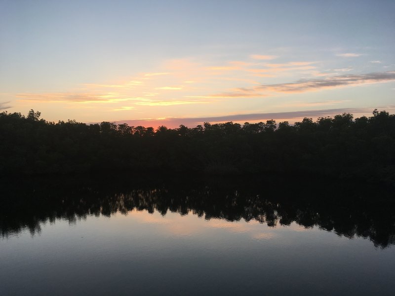 Early morning view of lake on Tower Boardwalk Trail.