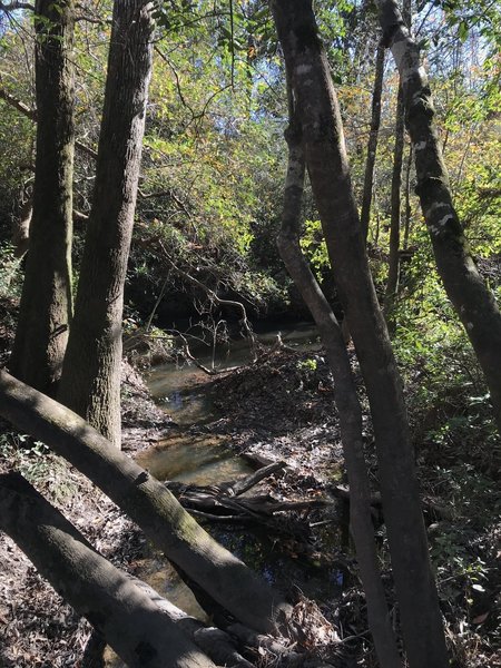 Small creek meeting the Tuxachanie