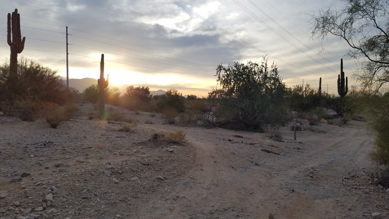 Left on marker off dirt driving path back onto the trail.