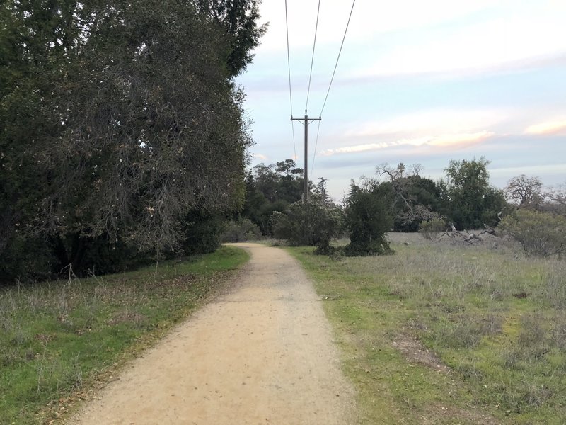 The trail as it leaves the road.  The creek is on the left hand side and the field/meadow starts to open up on the right.