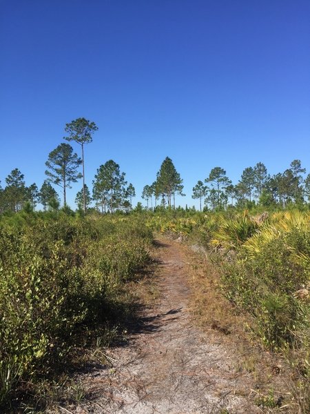 Open views along the trail